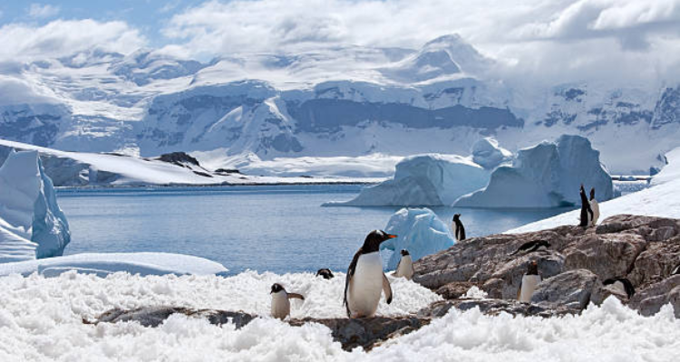Places to visit in Antartica